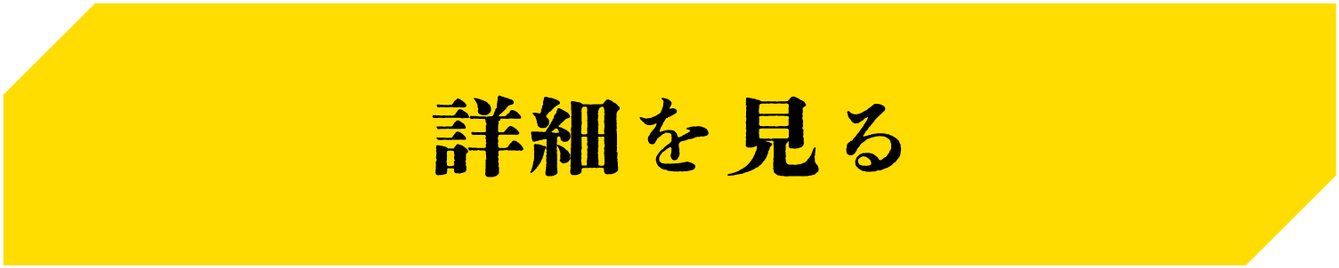 詳細を見る